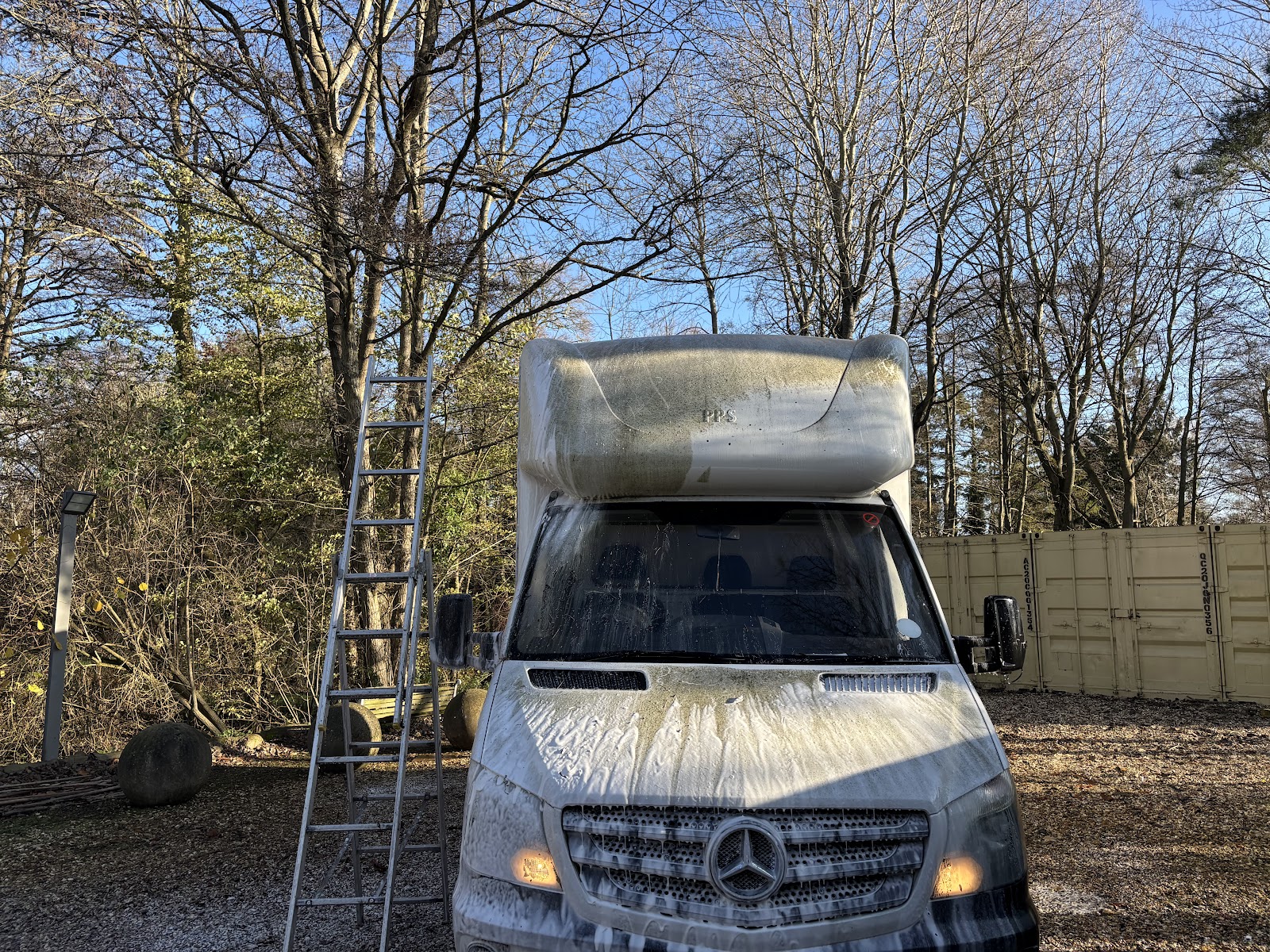 Dragon Valeting