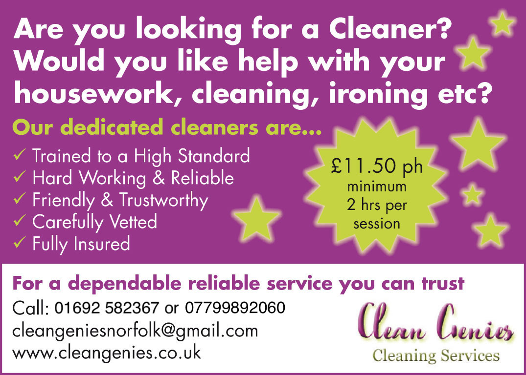 Clean Genies