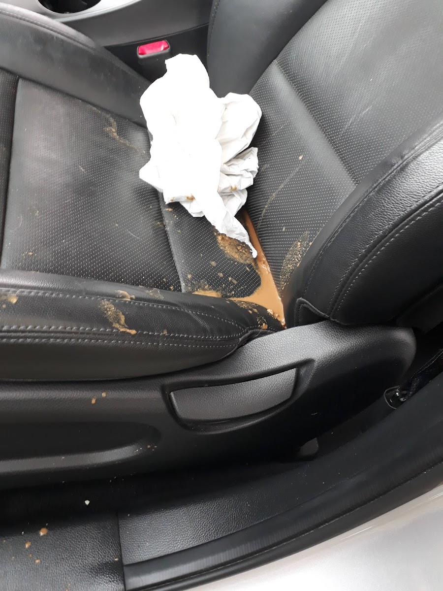GC Valeting and Detailing
